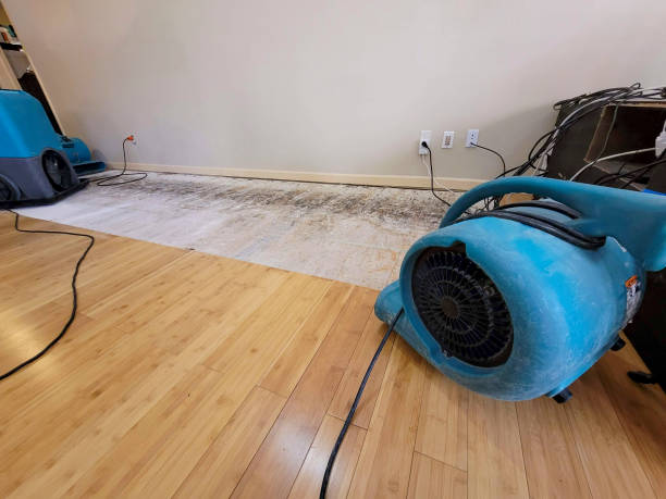 Professional Water Extraction technician working in Bryan, OH